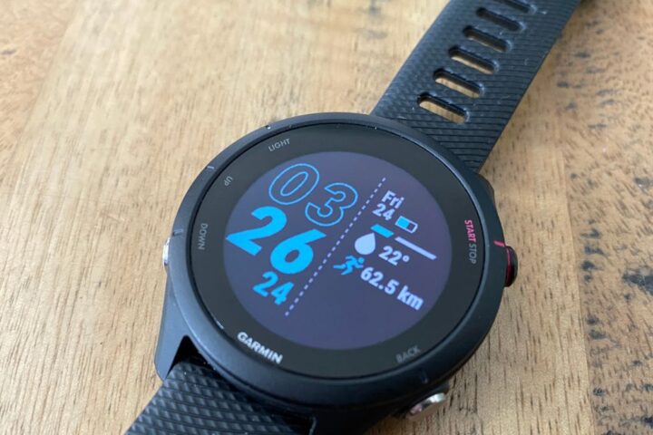 Garmin Forerunner 255